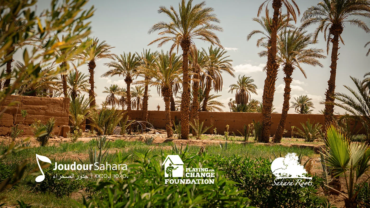 Reflecting on 10 years of Environmental Impact in the Sahara