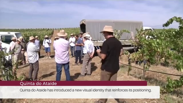 EP 83 | Wine Tourism News