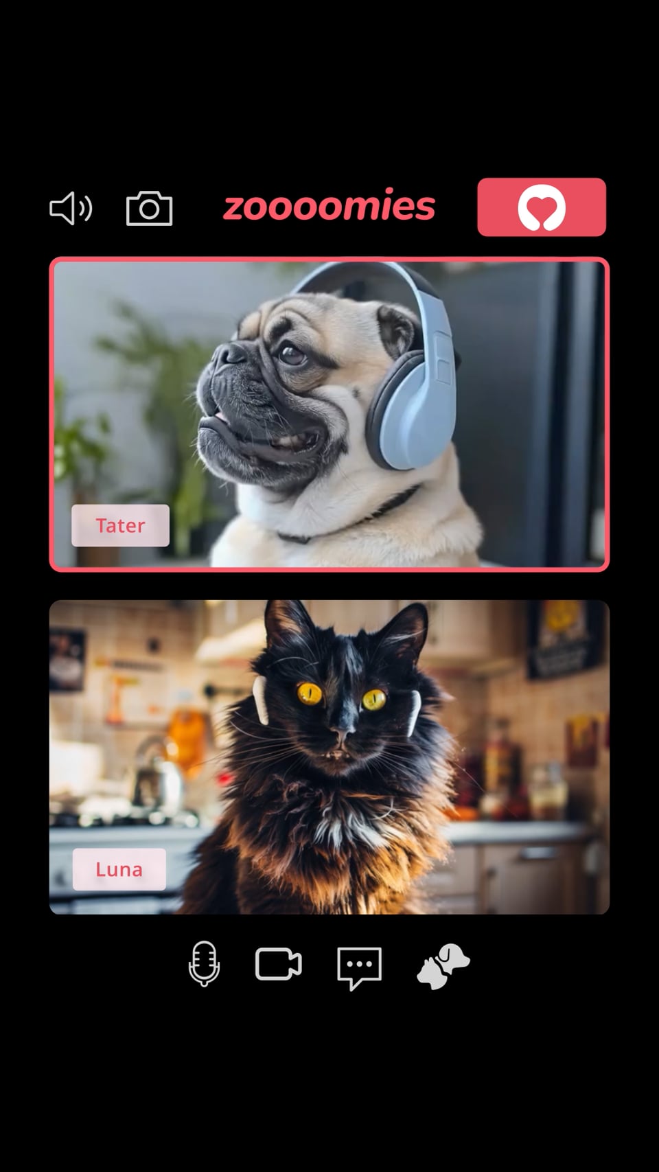 "Zoomies" Social Video