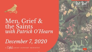 Related Embedded Video Item Thumbnail