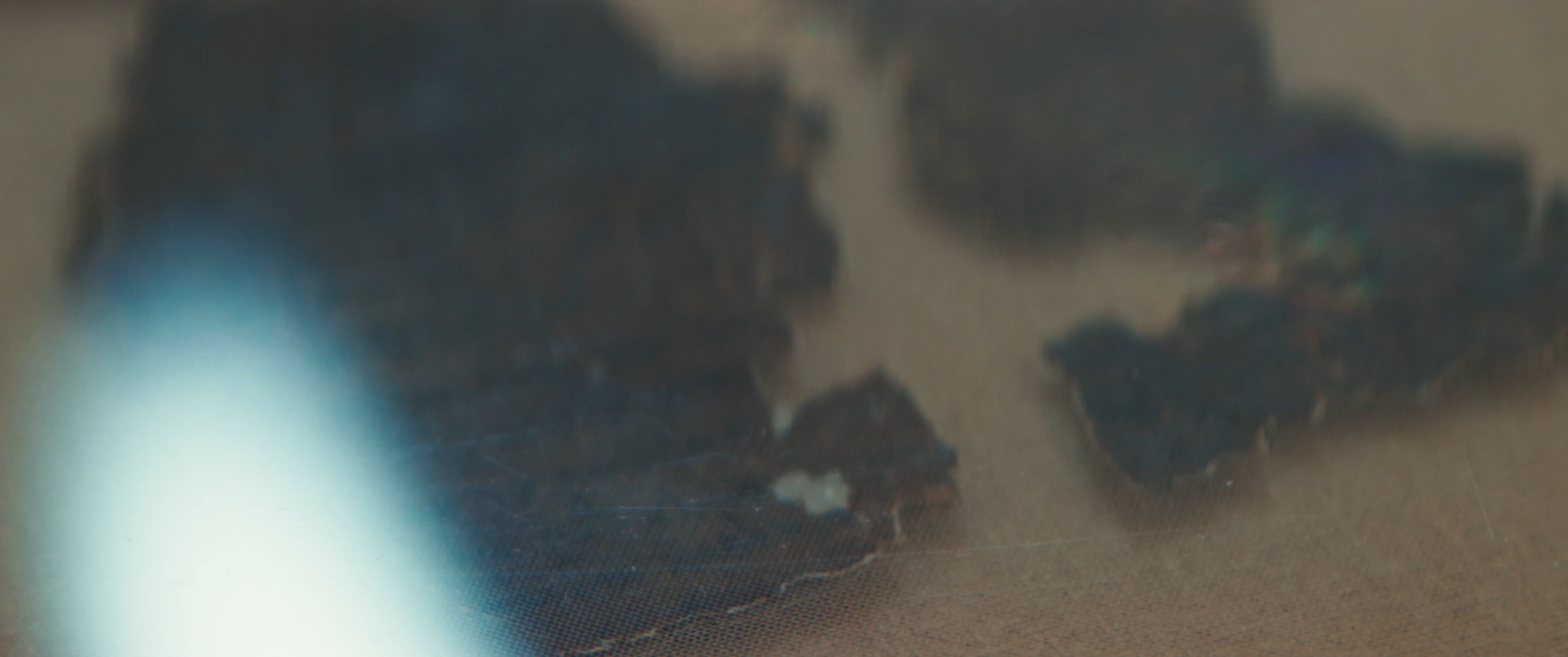 The Dead Sea Scrolls: An Overview video thumbnail