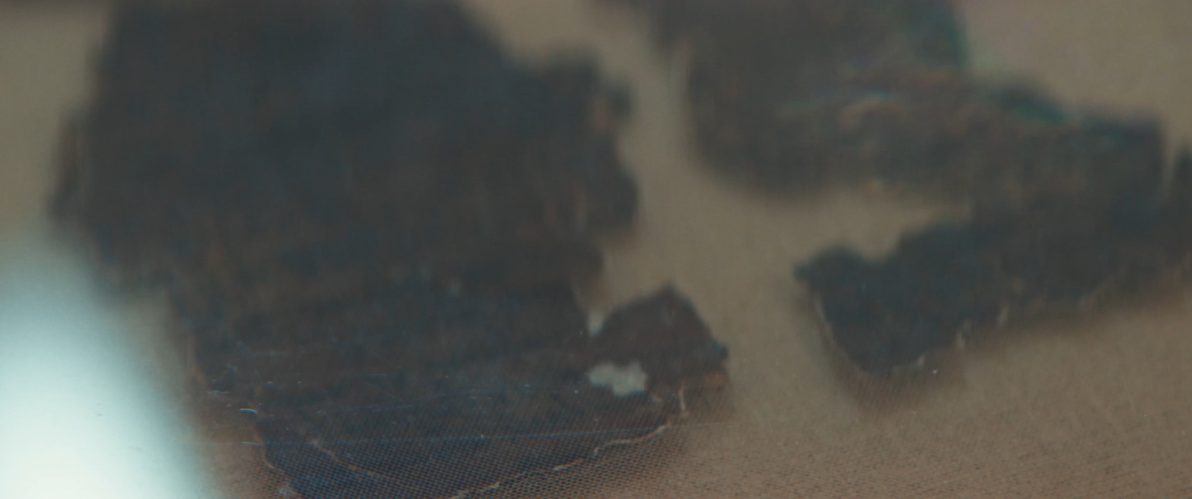 The Dead Sea Scrolls: An Overview video thumbnail