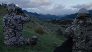 Estate hunting and diving New Zealand Video Thumbnail