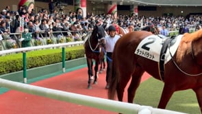 動画サムネイル