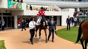 動画サムネイル