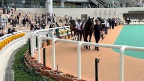 動画サムネイル