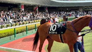 動画サムネイル