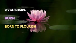 Song Of The We: Born To Flourish