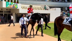 動画サムネイル