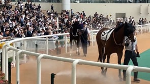 動画サムネイル