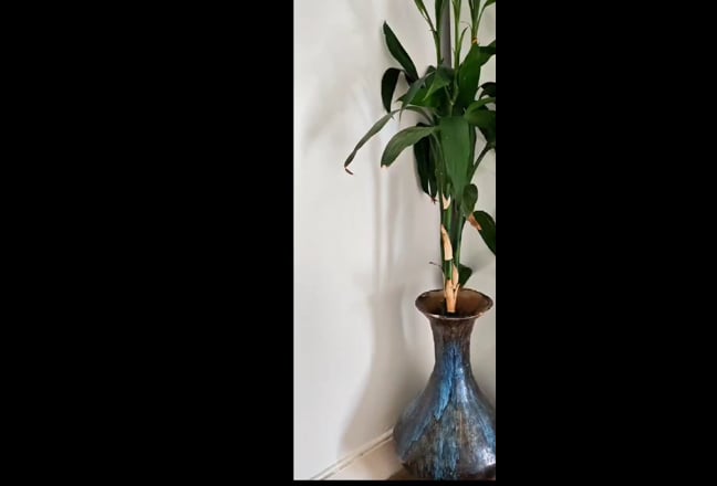 One Double Room and One Single Room, Available!!! Main Photo