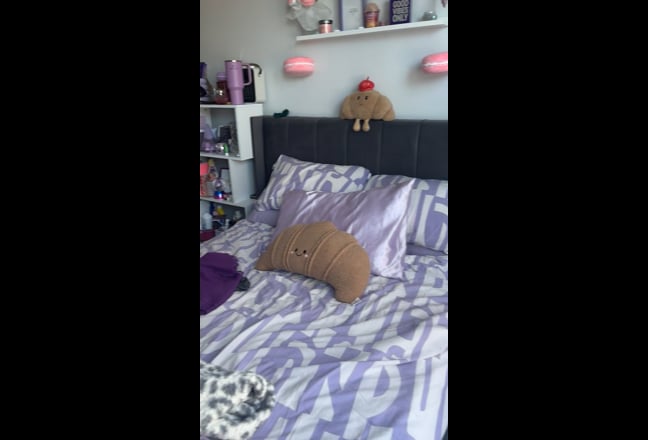 Seeking a new roomie -SE London  Main Photo