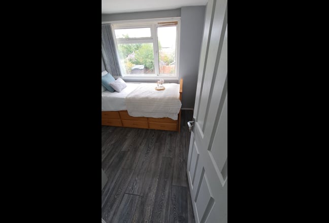 Renovated Bright Room | Bills included  Main Photo