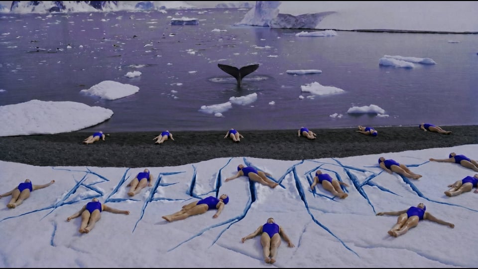 Photo from BLEU MORT