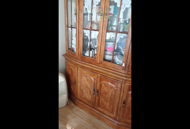 Single Female Lodger  Main Photo