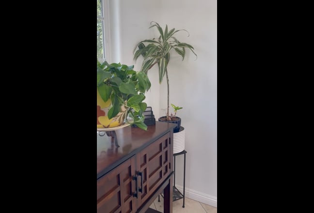  Spacious Room  Main Photo