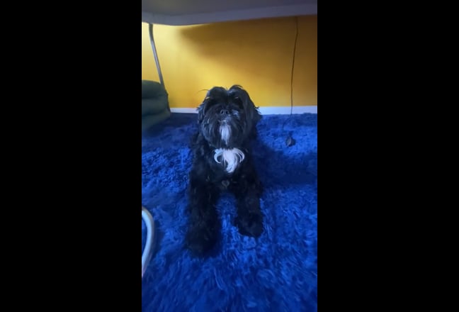 Second Sweet Double Room in Plaistow/Canning Town Main Photo