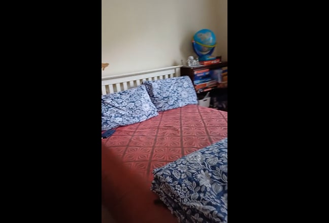 2 rooms for vegetarian females in w5 Main Photo