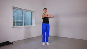Related Embedded Video Item Thumbnail