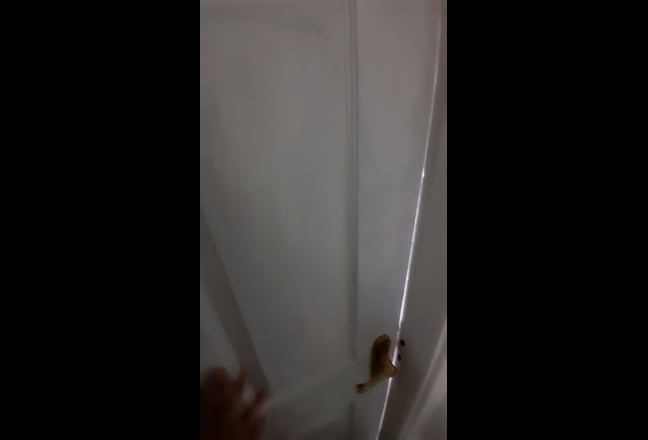 One double bedrooms available ws2 area Main Photo