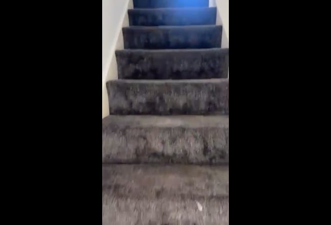 2 bedroom apartment for rent  Main Photo