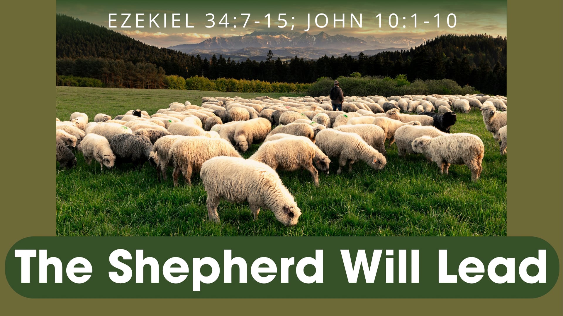 "The Shepherd Will Lead" - Sunday Service