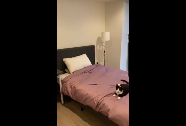 Spacious 2b2b apartment near city center Main Photo