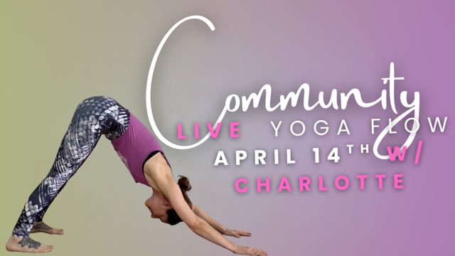 NEW! Charlotte Community Flow Apr 14th