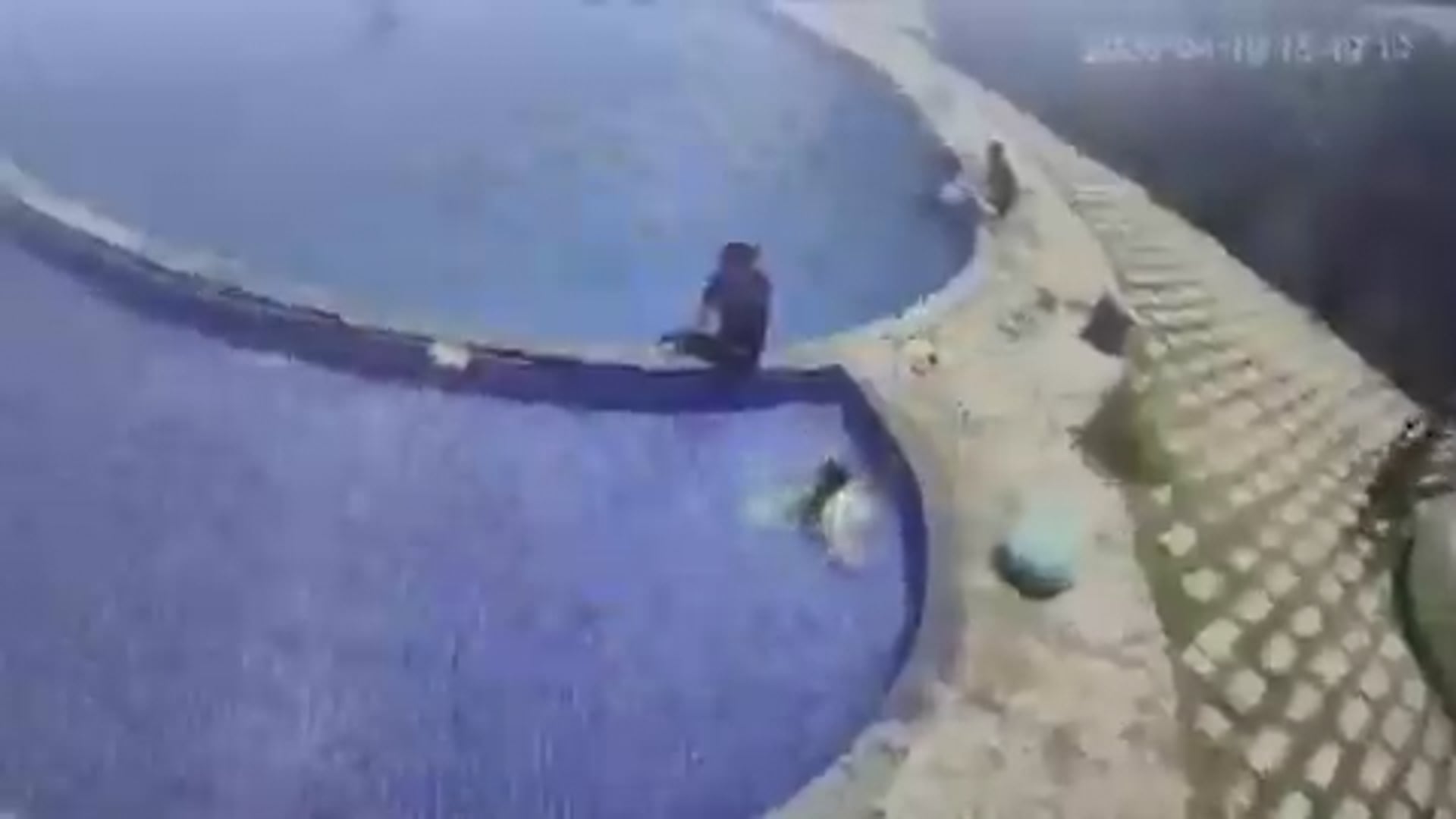 ➡️......राजकोट जिले में एक परिवार पुल में एक साथ नहा रहा था तभी एक युवक स्विमिंग पूल में डूब गया और उसकी मौत हो गई।
पूल में तैरते समय वह अचानक बेहोश हो गया और पानी में डूब गया। पूरी घटना रिज़ॉर्ट के सीसीटीवी कैमरों में कैद हो गई।