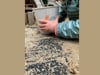 https://i.vimeocdn.com/video/2148335282-773460c193232848395c1700dcee379554817be61a6beee3388374610ec5c653-d_100x75?region=us