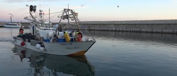 Bon temps, peix, bon preu, però el gasoil molt car