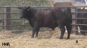 Related Embedded Video Item Thumbnail