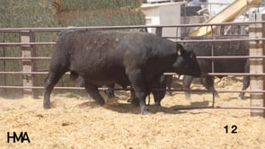 Related Embedded Video Item Thumbnail