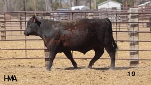 Related Embedded Video Item Thumbnail