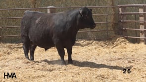 Related Embedded Video Item Thumbnail