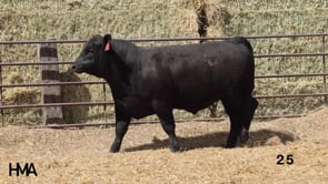 Related Embedded Video Item Thumbnail