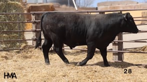 Related Embedded Video Item Thumbnail