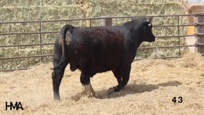 Related Embedded Video Item Thumbnail