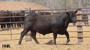 Related Embedded Video Item Thumbnail