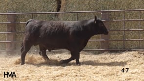 Related Embedded Video Item Thumbnail