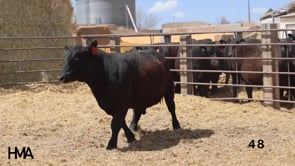 Related Embedded Video Item Thumbnail