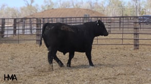 Related Embedded Video Item Thumbnail