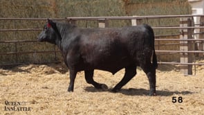 Related Embedded Video Item Thumbnail