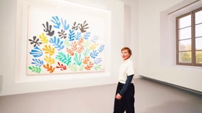 Vignette de la vidéo