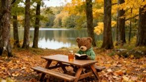 Related Embedded Video Item Thumbnail