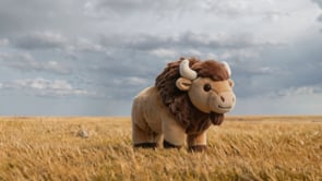 Related Embedded Video Item Thumbnail