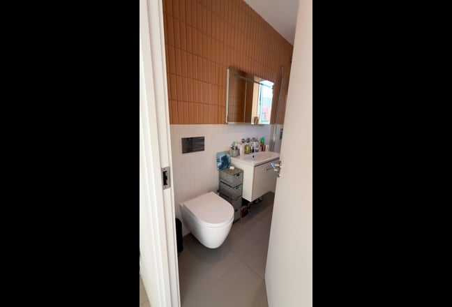 En-suite room w/ suntrap roof terrace in Fulham Main Photo