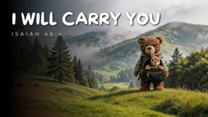 Related Embedded Video Item Thumbnail