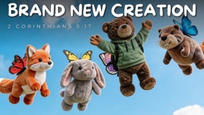 Related Embedded Video Item Thumbnail