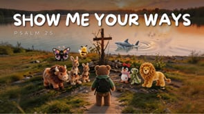 Related Embedded Video Item Thumbnail